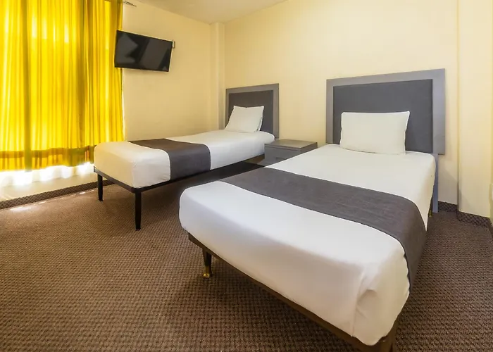 Capital O Marne, 3*